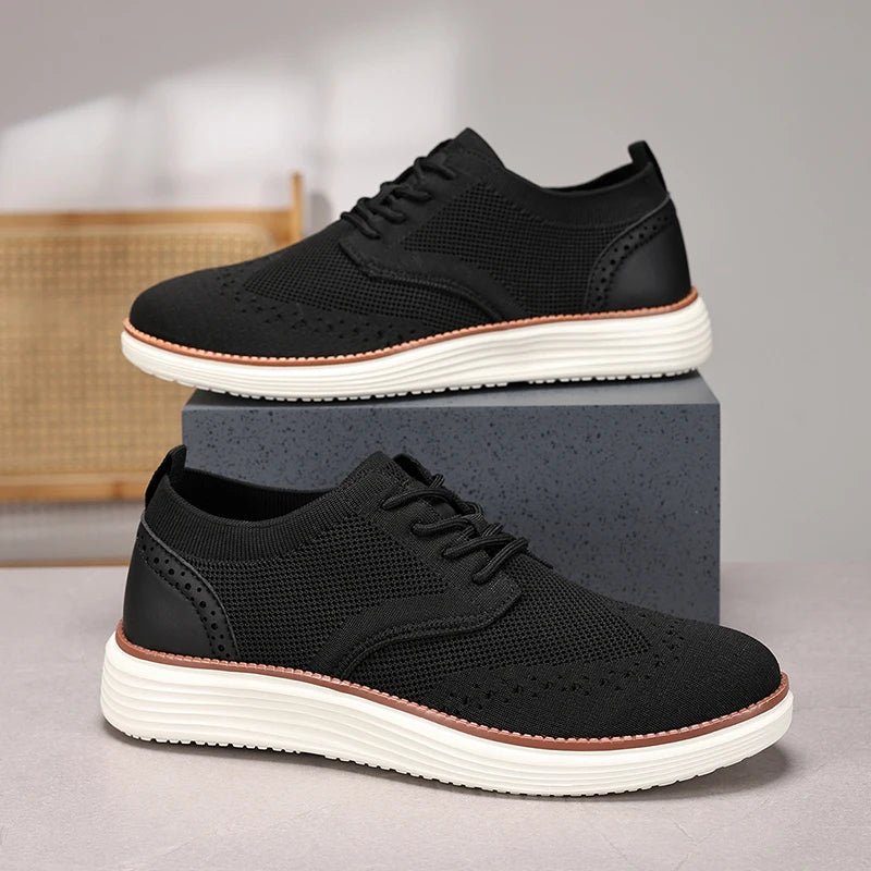 The Sneakers Oxford Collection
