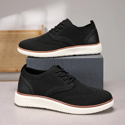The Sneakers Oxford Collection