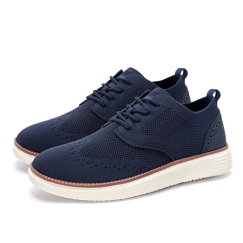 The Sneakers Oxford Collection