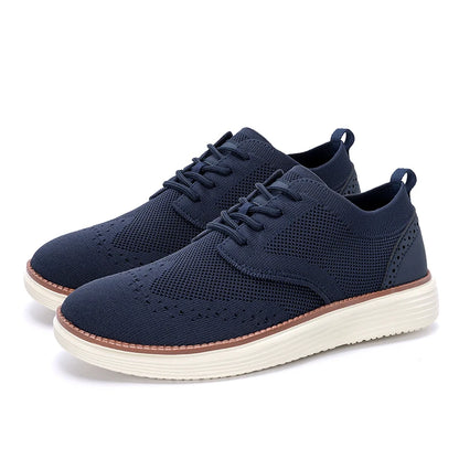 The Sneakers Oxford Collection